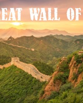 The Great Wall of Trump